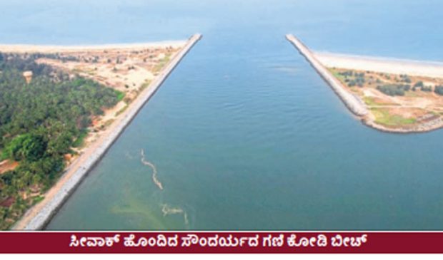 Kundapura: ಮೋಜಿನ ತಾಣಗಳಾಗುತ್ತಿರುವ ಬೀಚ್‌ಗಳು-ಕಡಲಾಮೆಗೆ ಅಪಾಯ!