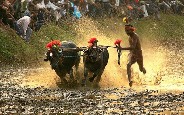 Kundapura: ಇಂದು ಉಳ್ಳೂರು ಕೆರೆಗದ್ದೆ ಕಂಬಳ