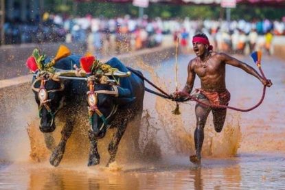 Kambala: ಪರಂಪರೆ ಮರೆತಿಲ್ಲ… ಆಧುನಿಕತೆ ಬಿಟ್ಟಿಲ್ಲ