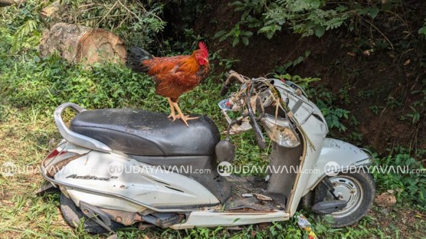 Kadaba ಕೋಡಿಂಬಾಳ ಮರಬಿದ್ದು ವ್ಯಕ್ತಿ ಸಾವು ಪ್ರಕರಣ: 2 ದಿನವಾದರೂ ಸ್ಥಳ ಬಿಟ್ಟು ಕದಲದ ಕೋಳಿ!