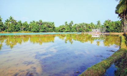 Kambala: 600 ವರ್ಷ ಇತಿಹಾಸದ ಚೇರ್ಕಾಡಿ ಕಂಬಳ