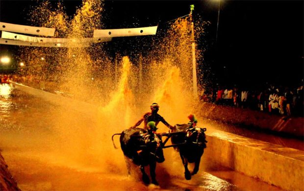 Kambala: ಕ್ರೀಡಾ ಇಲಾಖೆ ಮಾನ್ಯತೆಯ ನಿರೀಕ್ಷೆಯಲ್ಲಿ ಕರಾವಳಿ “ಕಂಬಳ’