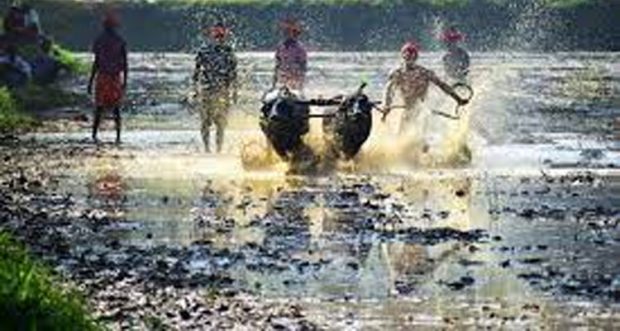 Kambala ಕುಂದಾಪುರ: ಚೋರಾಡಿ ಸಾಂಪ್ರದಾಯಿಕ ಕಂಬಳ ರದ್ದು