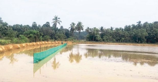 Kambala: ಡಿ.10ರಂದು ಗುಲ್ವಾಡಿ ದೊಡ್ಮನೆಯ ಸಾಂಪ್ರದಾಯಿಕ ಕಂಬಳ