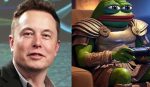 Musk changes Twitter profile to ‘Pepe the Frog’ meme