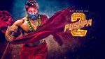 ‘Pushpa 2’ sets box office record