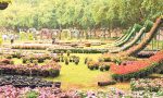 Lalbagh Flower Show: ಲಾಲ್‌ಬಾಗ್‌ ಸುತ್ತಲಿನ ರಸ್ತೆಗಳಲ್ಲಿ ಸಂಚಾರ ನಿಷೇಧ