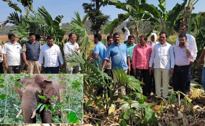 Anandpur: ಮುಂದುವರೆದ ಕಾಡಾನೆಗಳ ದಾಳಿ… ಇಲಾಖೆ ವಿರುದ್ಧ ರೈತರ ಆಕ್ರೋಶ