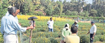 Hemmadyಸೇವಂತಿಗೆ ತಳಿ ಸಂರಕ್ಷಣೆ: ತೋಟಗಾರಿಕೆ ಅಧಿಕಾರಿಗಳು,ಕೃಷಿ ವಿಜ್ಞಾನಿಗಳಿಂದ ಸ್ಥಳ ಭೇಟಿ