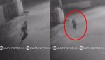 Leopard spotted in Vijayapura city: CCTV footage captured